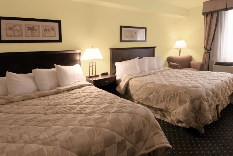 Comfort Hotel & Suites Peterborough Room photo